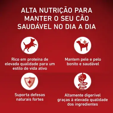 PURINA ONE Mini/Small Adulto - Rico em Vaca