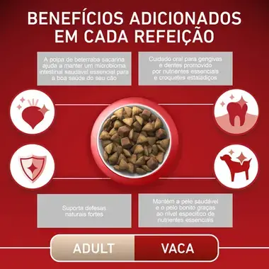 PURINA ONE Mini/Small Adulto - Rico em Vaca