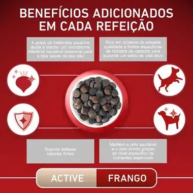 PURINA ONE Mini/Small Ativo - Rico em Frango