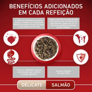 PURINA ONE Mini/Small Especial Digestão Sensível - Rico em Salmão