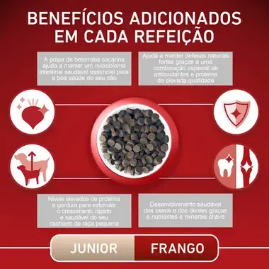 PURINA ONE Mini/Small junior 1-12 meses - Rico em Frango
