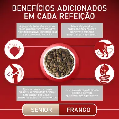 PURINA ONE Mini/Small Senior + de 8 Anos - Rico em Frango