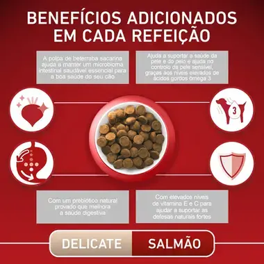 PURINA ONE Medium/Maxi Digestão Sensível - Rico em salmão