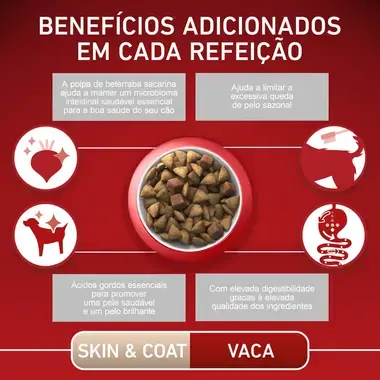 PURINA ONE Mini/Small Especial Pele e Pelo - Rico em Vaca