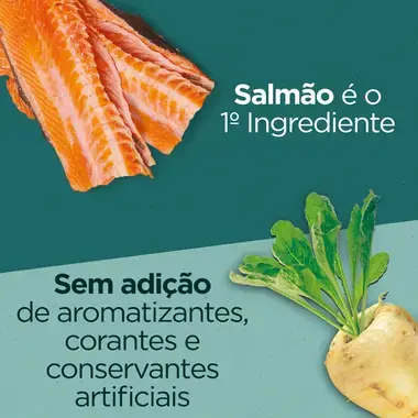 Purina ONE® Dual Nature Sterilcat Salmão com Espirulina
