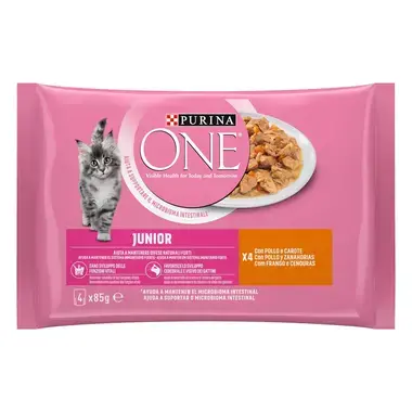 PURINA ONE Junior 1-12 Meses Receitas em Molho - Frango