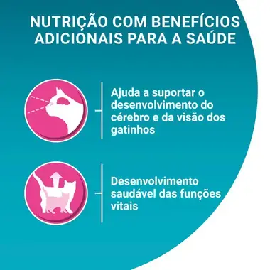 PURINA ONE Junior 1-12 Meses Receitas em Molho - Frango