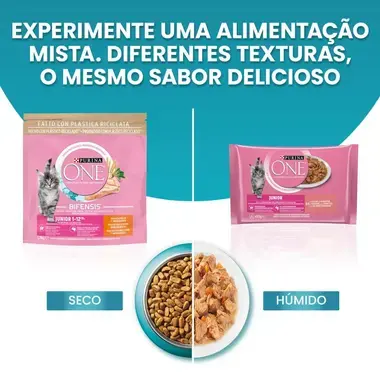 PURINA ONE Junior 1-12 Meses Receitas em Molho - Frango