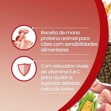 Purina ONE® Medium/Maxi Adult Monoproteína Peru