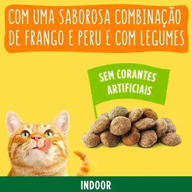 3222270158428, 7613032918729 FRISKIES Indoor Frango e Peru - Gato Seco