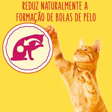 7613034945808 FRISKIES Bolas de Pelo Frango Peru - Gato Seco