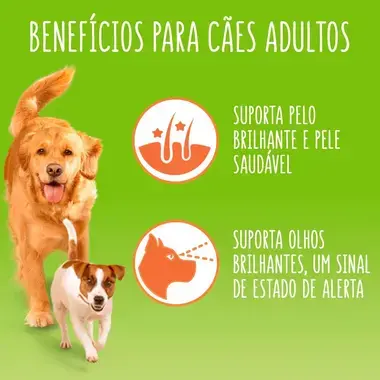 7613036257695 FRISKIES em Gelatina Frango - Húmido Cão