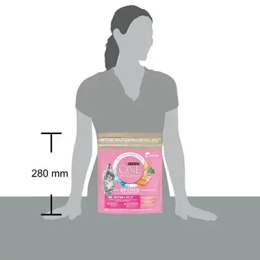Purina ONE® Bifensis Junior Salmão