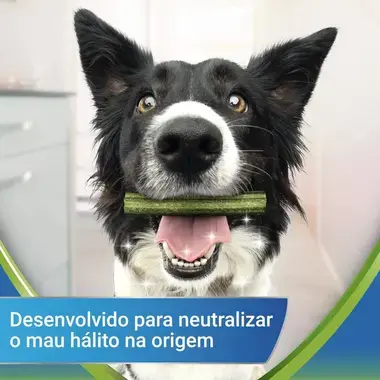 PURINA DENTALIFE ActivFresh para cães de porte médio