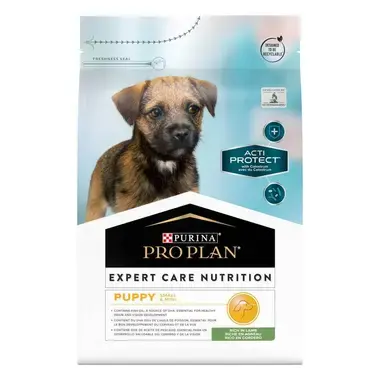 PRO PLAN ACTI-PROTECT Small & Mini Puppy / Pequeno & Mini Cachorro Rico em Borrego