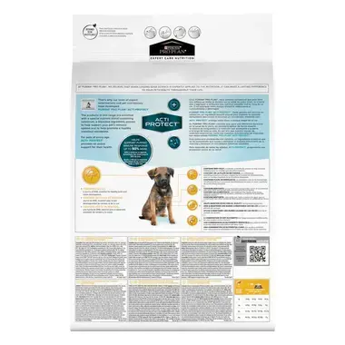 PRO PLAN ACTI-PROTECT Small & Mini Puppy / Pequeno & Mini Cachorro Rico em Borrego