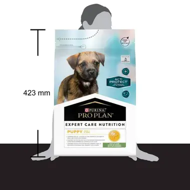 PRO PLAN ACTI-PROTECT Small & Mini Puppy / Pequeno & Mini Cachorro Rico em Borrego