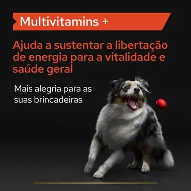 PRO PLAN® Multivitamins+ | Multivitaminas Suplemento em pó para cão