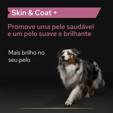 PRO PLAN® Cat Skin & Coat | Pele e Pelo Suplemento em óleo para cão