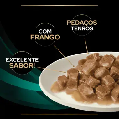PRO PLAN VETERINARY DIETS Feline EN St/Ox Gastrointestinal Saquetas com Frango 