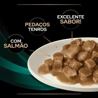 PRO PLAN VETERINARY DIETS Feline EN St/Ox Gastrointestinal Saquetas com Salmão
