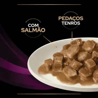 PRO PLAN VETERINARY DIETS Feline UR St/Ox Urinary Saquetas com Salmão