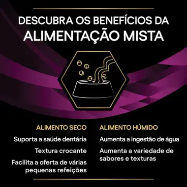 PRO PLAN VETERINARY DIETS Feline UR St/Ox Urinary Saquetas com Salmão