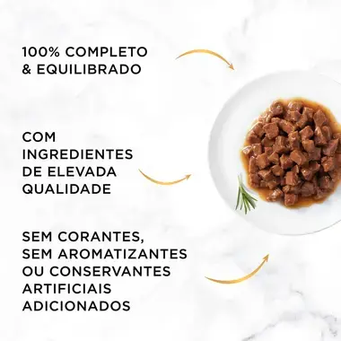 GOURMET Gold Pedacinhos em Molho com Salmão e Frango