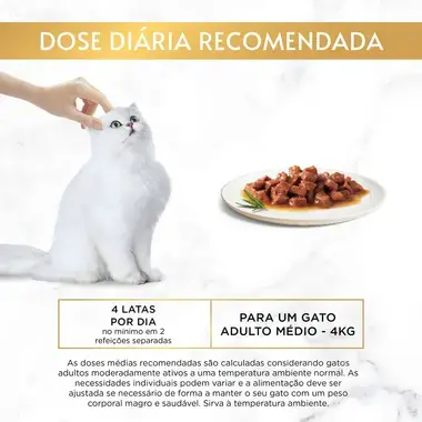 GOURMET Gold Pedacinhos em Molho com Salmão e Frango