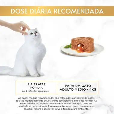 GOURMET Gold Fondant com Frango