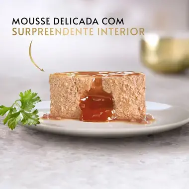 GOURMET Gold Fondant com Frango