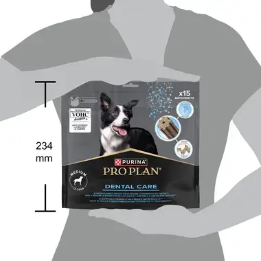 PRO PLAN Medium Dogs DentalCare