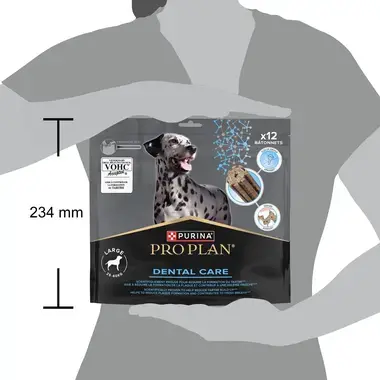 PRO PLAN Large Dogs DentalCare