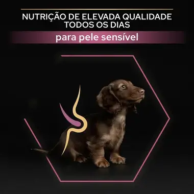 PRO PLAN Cachorro Porte Pequeno & Mini Pele Sensível Rico em Salmão