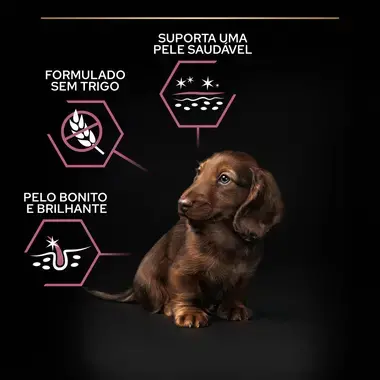 PRO PLAN Cachorro Porte Pequeno & Mini Pele Sensível Rico em Salmão