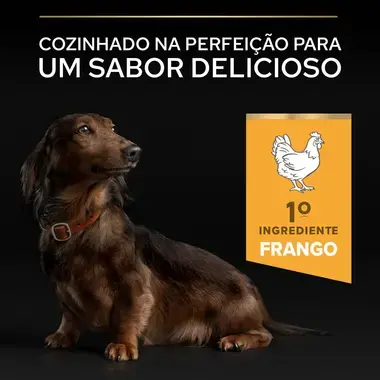 PRO PLAN Cão Adulto 9+ Porte Pequeno & Mini Age Defence Rico em Frango