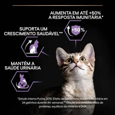 PRO PLAN Kitten | Gatinhos 1-12 meses HEALTHY START Rico em Frango