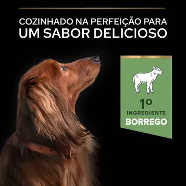 PRO PLAN Cão Adulto de Porte Pequeno & Mini Digestão Sensível Rico em Borrego