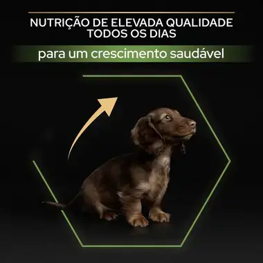 PRO PLAN Cachorro Porte Pequeno & Mini Rico em Frango