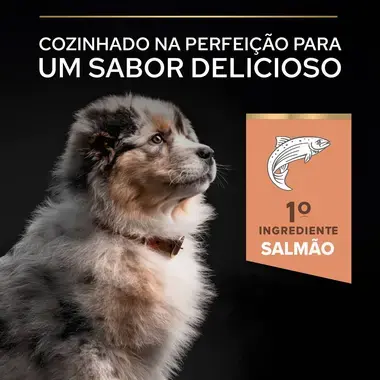PRO PLAN Cachorro Porte Médio Pele Sensível Rico em Salmão