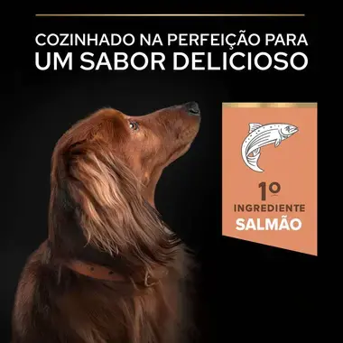 PRO PLAN Cão Adulto Porte Pequeno & Mini Pele Sensível Rico em Salmão