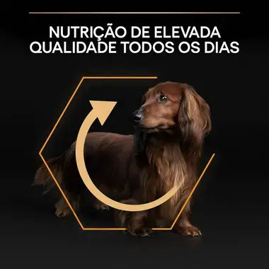 PRO PLAN Cão Adulto de Porte Pequeno & Mini Rico em Frango