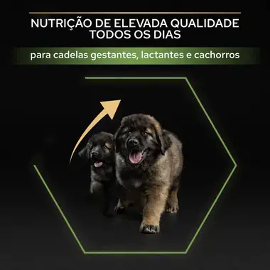 PRO PLAN Cachorro Porte Grande e Robusto Healthy Start Rico em Frango
