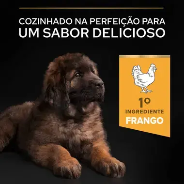 PRO PLAN Cachorro Porte Grande e Robusto Healthy Start Rico em Frango