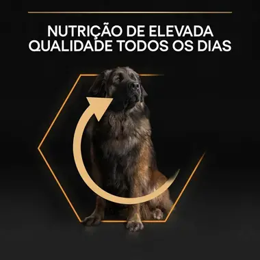PRO PLAN Cão Adulto Porte Grande Robusto Everyday Nutrition Rico em Frango
