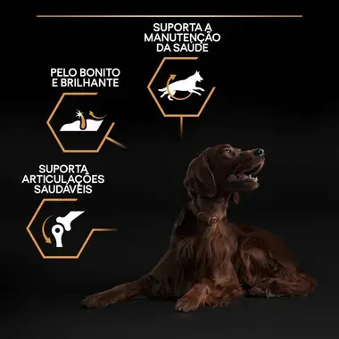 PRO PLAN Cão Adulto de Porte Grande e Atlético Everyday Nutrition Rico em Frango