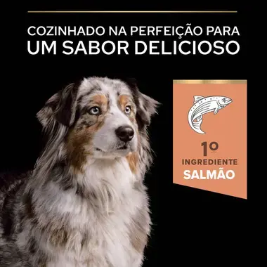 PRO PLAN Cão Adulto 7+ Porte Médio e Grande Pele Sensível Rico em Salmão