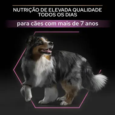 PRO PLAN Cão Adulto 7+ Porte Médio e Grande Age Defence Rico em Frango