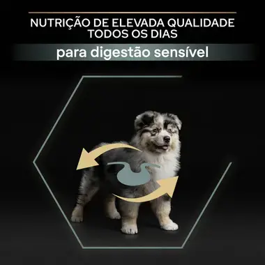 PRO PLAN Cachorro Porte Médio Digestão Sensível Rico em Borrego