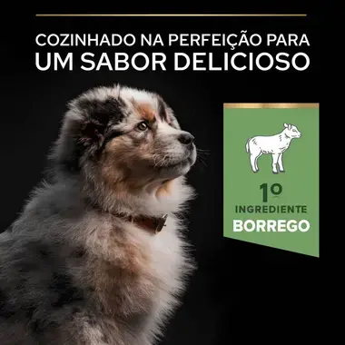 PRO PLAN Cachorro Porte Médio Digestão Sensível Rico em Borrego